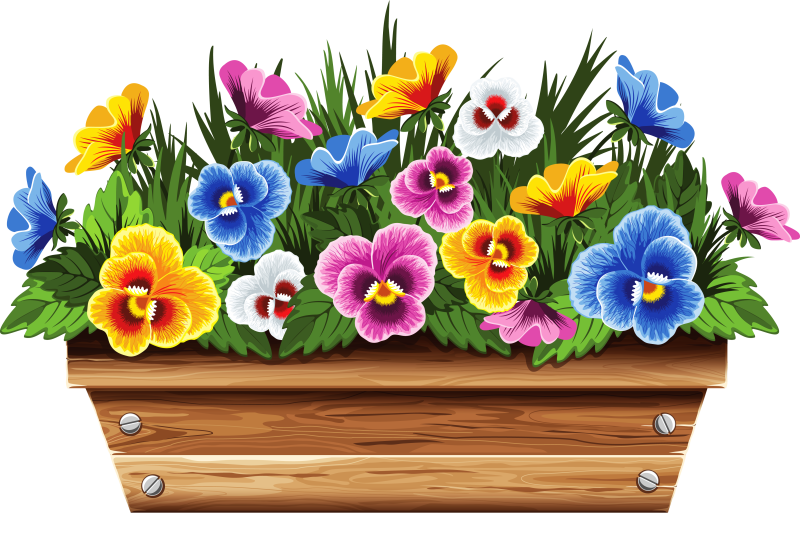 Цветы в прямоугольных горшках