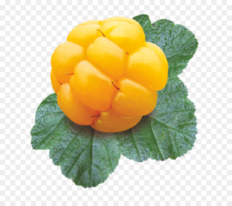 Жёлтая ягода Морошка