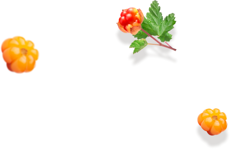 Северная ягода Морошка