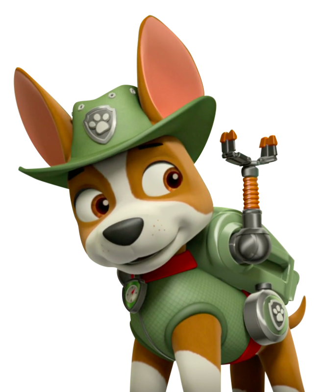 Щенячий патруль герои