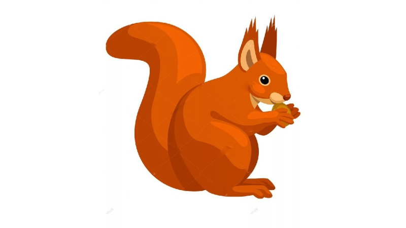 Белка рисунок