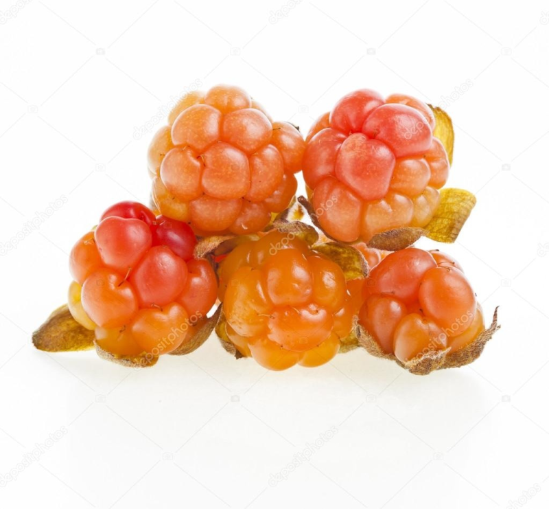 Морошка ягода