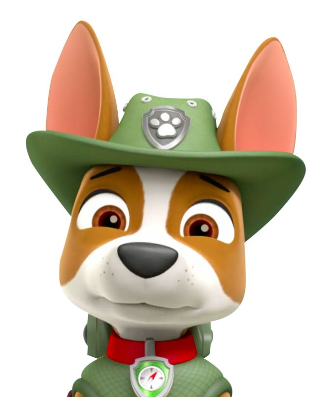 Paw Patrol