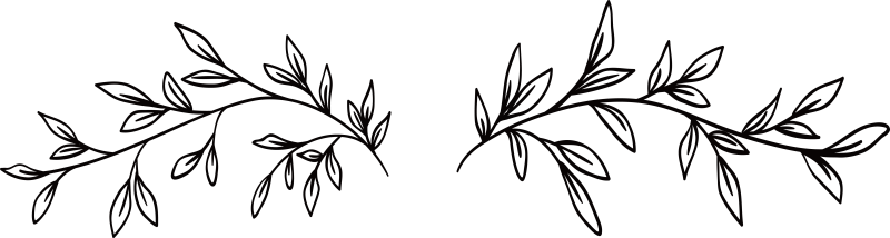 Ветка с листьями