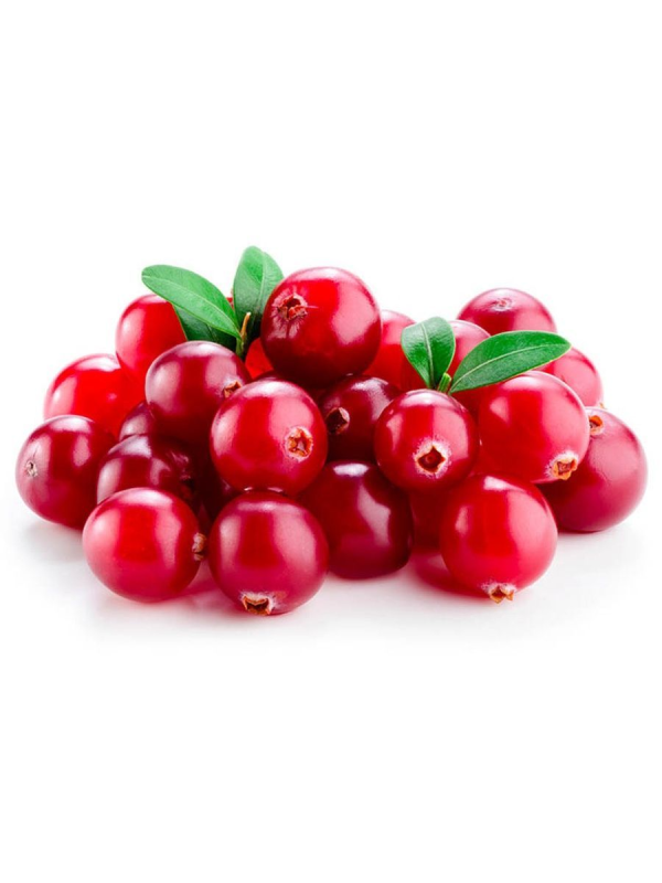 Клюква 1 ягода