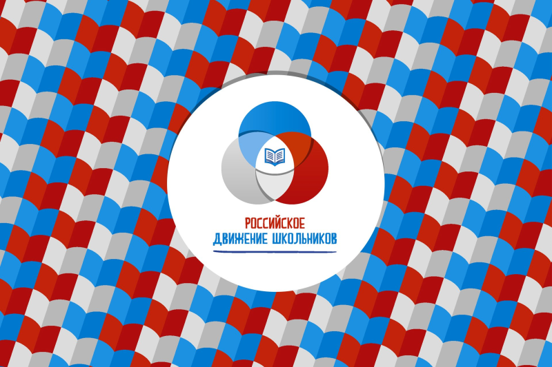 Баннер РДШ