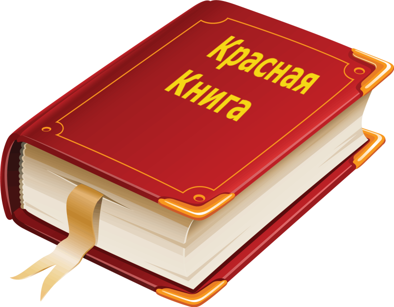 Книга для…