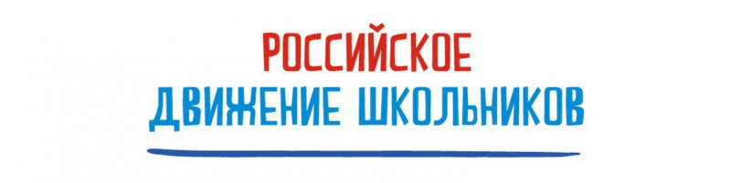 Российское движение школьников надпись