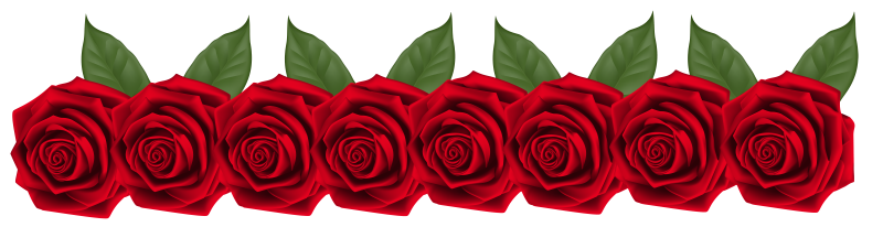 Полоска из роз