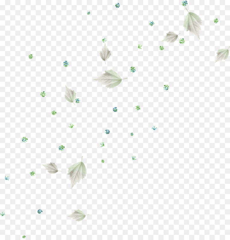 Россыпь листочков на прозрачном фоне