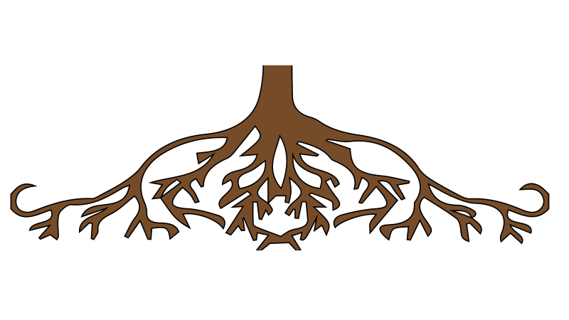 Корни вектор