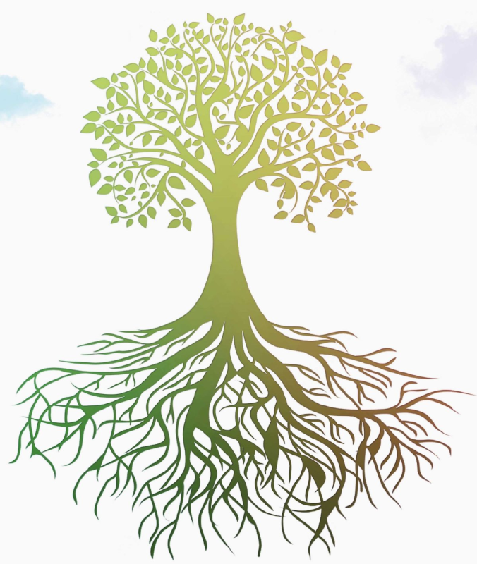 Красивое дерево с корнями