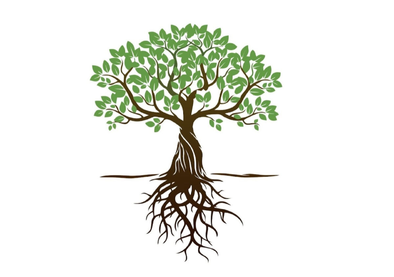 Дерево с корнями и плодами