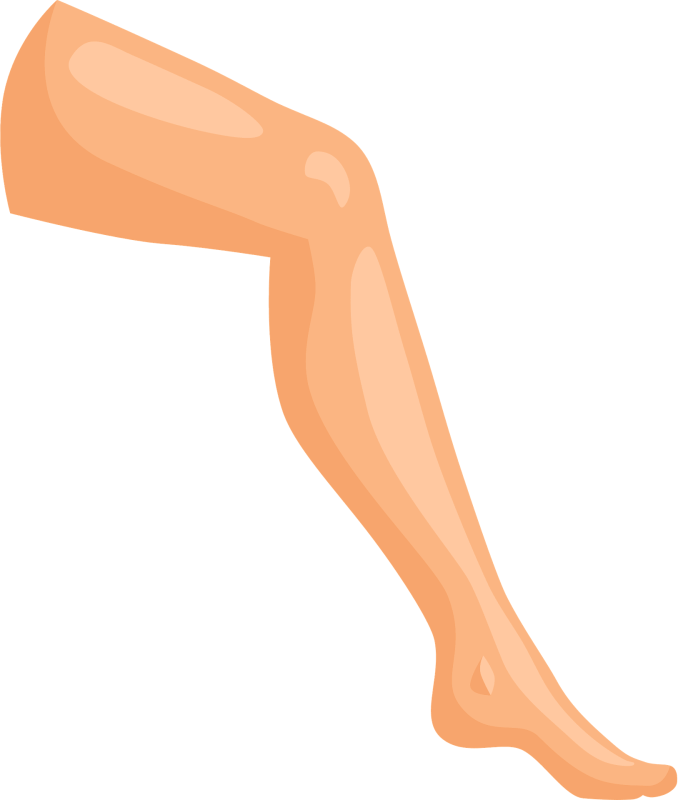 Ноги на белом фоне