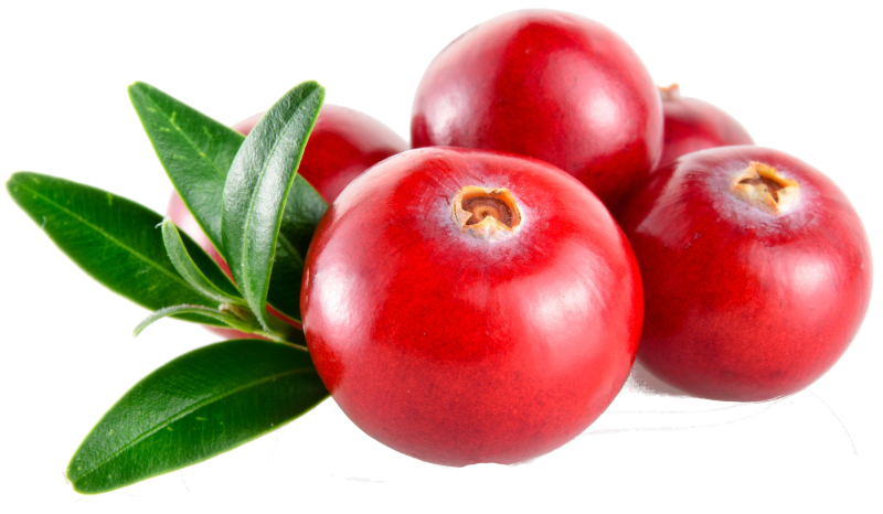 Cowberry брусника