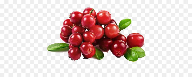 Ягоды клюквы на белом фоне