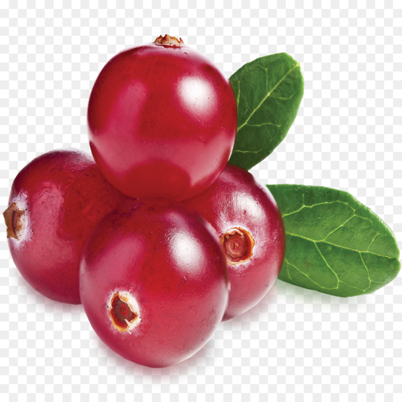 Клюква ягода