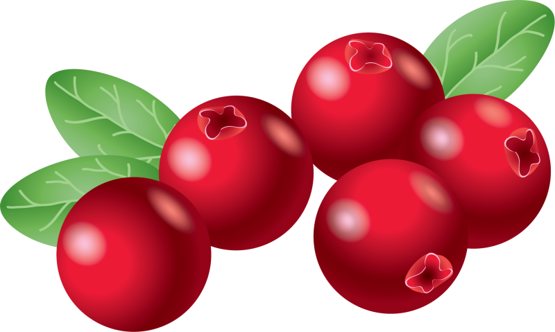 Векторные ягоды