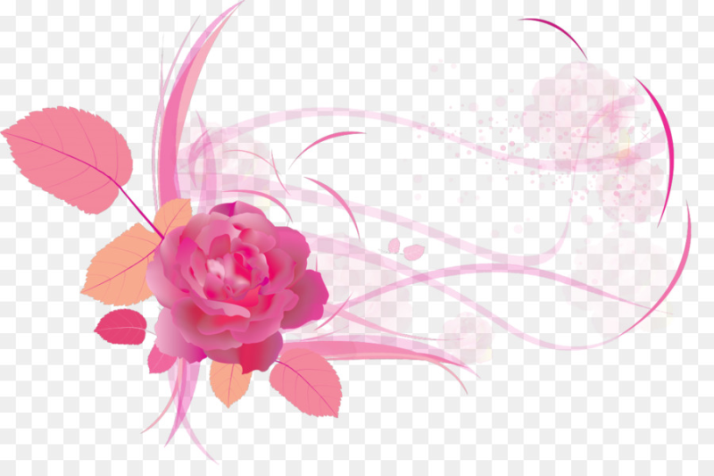 Цветы на прозрачном фоне