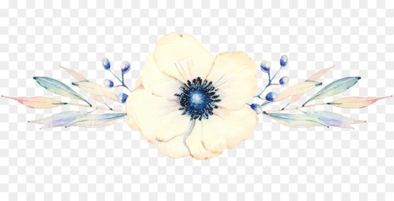 Акварельные цветы на белом фоне