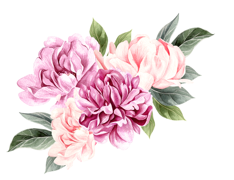 Акварель Тюлькина пионы