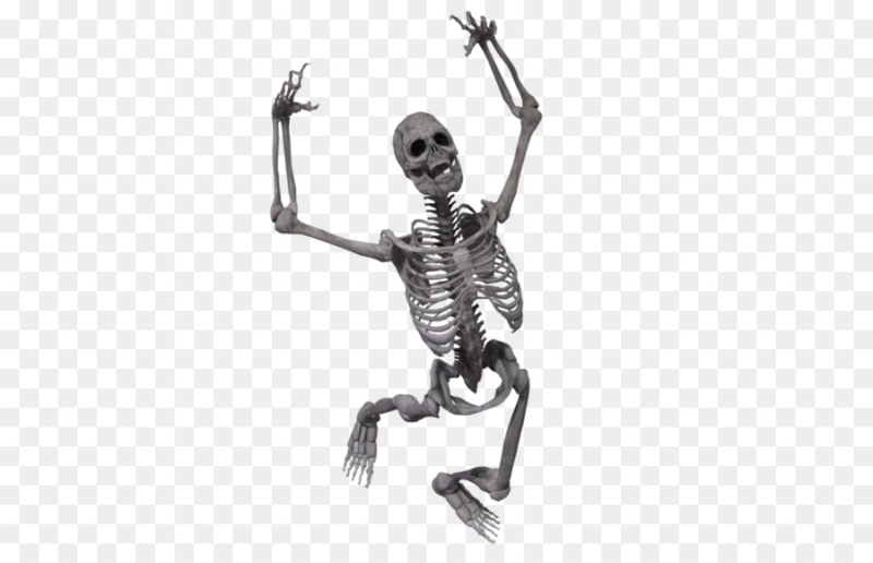 Скилетна белом фоне