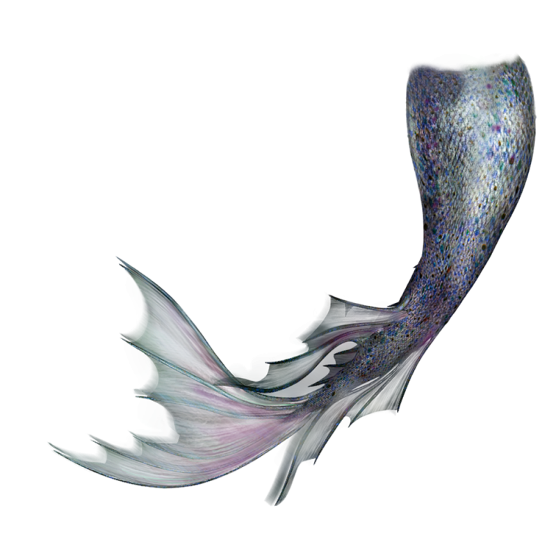 Хвост русалки сбоку