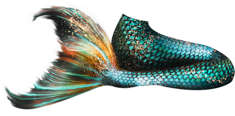 Хвост русалки