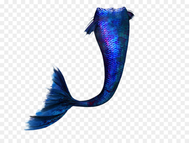 Хвост Русалочки