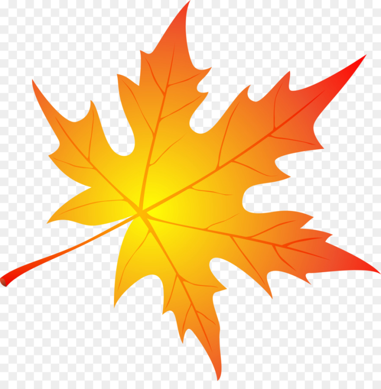 Кленовый лист