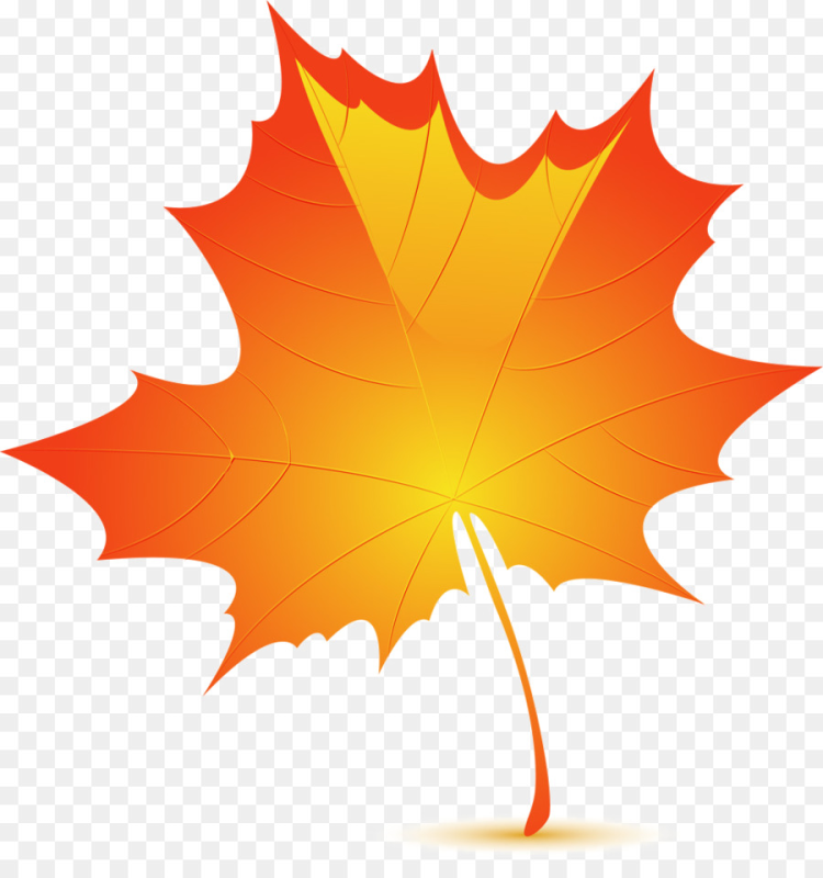 Кленовый лист