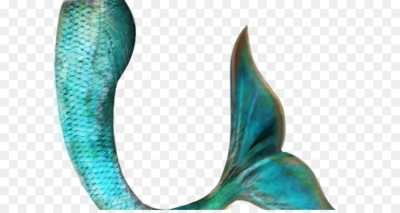 Хвост русалки