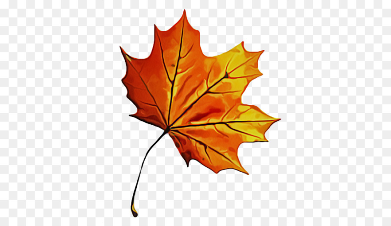 Осенние листочки