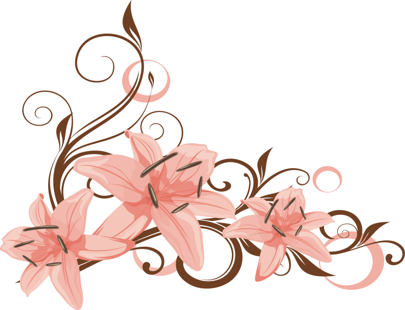 Узоры без фона