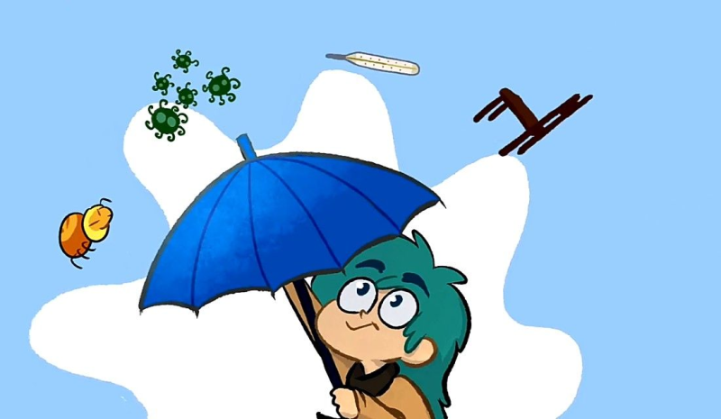 Зонтик из 13 карт