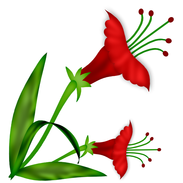 Аленький цветочек символ