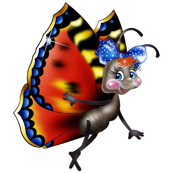 Бабочки картинки