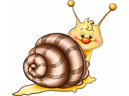 Улитка на белом фоне