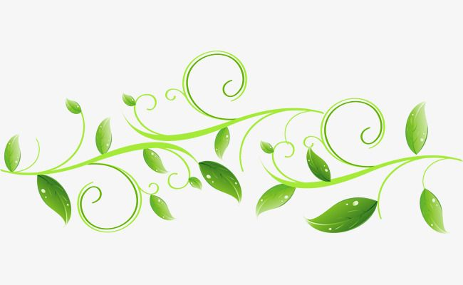 Зеленые узоры на белом фоне