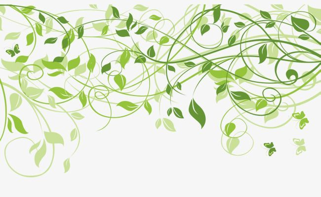 Красивый зеленый узор