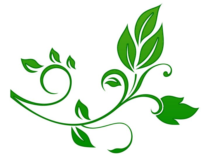 Узор растения