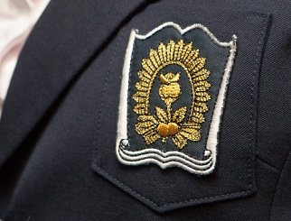 Эмблема пансиона воспитанниц МО