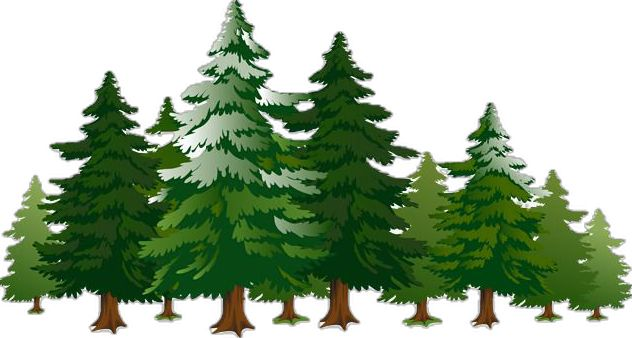 Лес для дошкольников