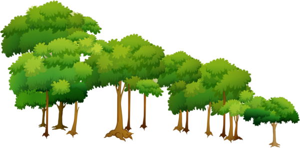 Нарисовать дерево