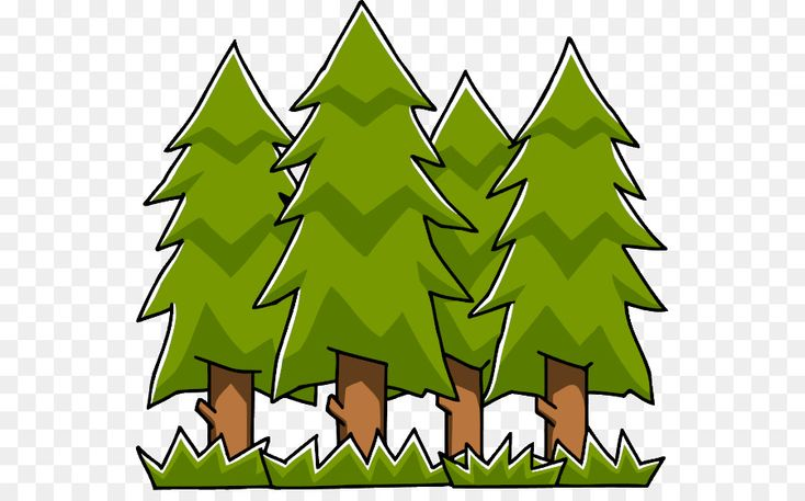 Лес векторное изображение