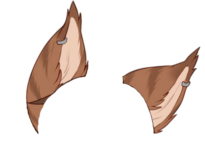 Волчьи уши на белом фоне