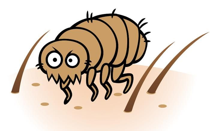 Блохи мультяшные