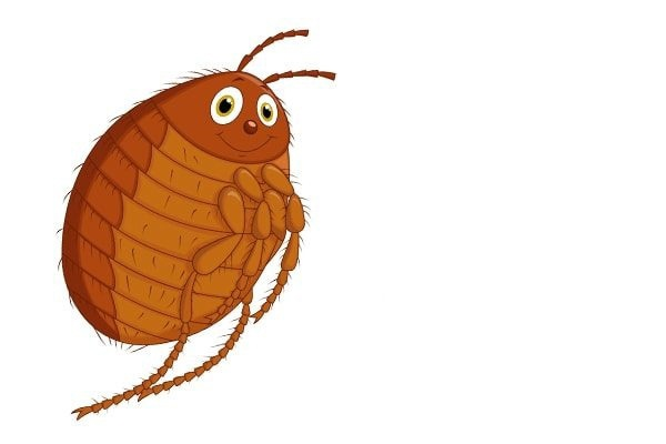 Блоха Муха Цокотуха