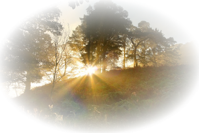 Восходящее солнце на прозрачном фоне