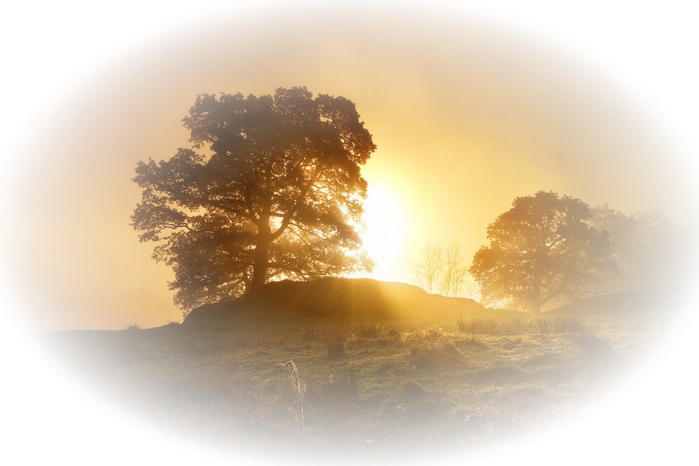 Рассвет на прозрачном фоне